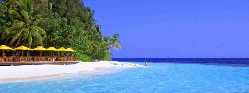 Andaman and Nicobar - Collection